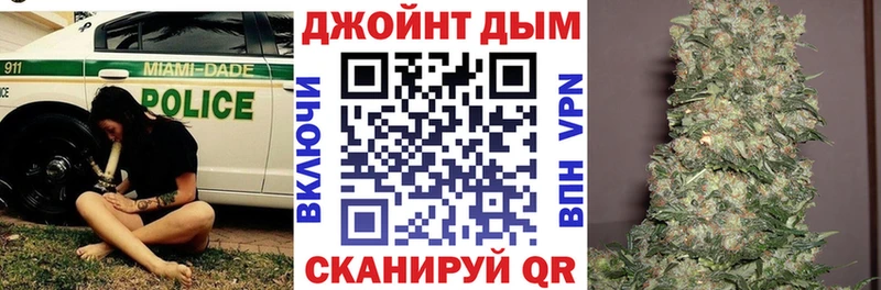 Купить Кашира Псилоцибиновые грибы 
