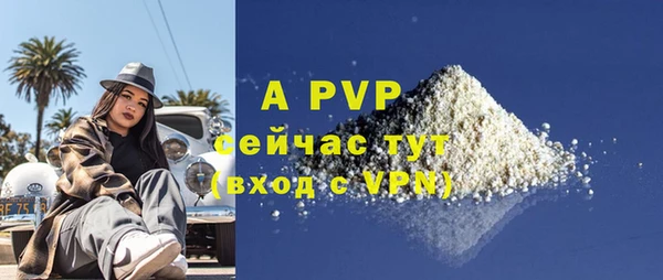 амф Богданович
