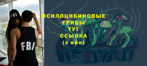 гашик Богородск
