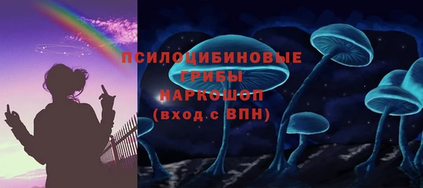 амф Богданович