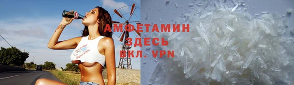 амф Богданович