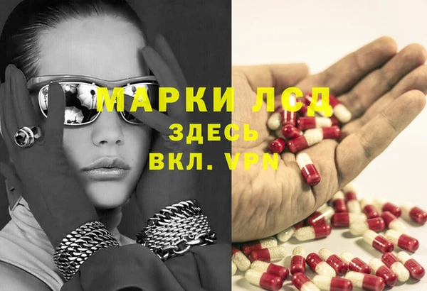 эйфоретик Баксан