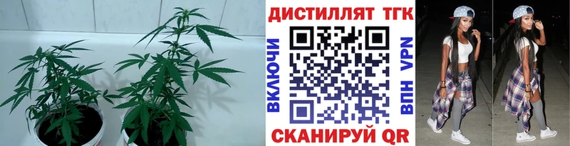 ТГК концентрат  omg маркетплейс  Кашира 